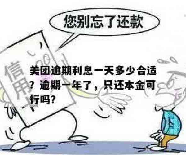 美团协商期还款怎样算本金利息