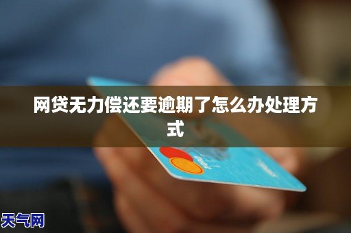 网贷无力偿还逾期了怎么办解决方法