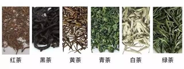 黑茶白茶普洱茶绿茶