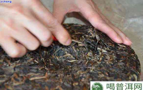 白蚁、普洱茶、生物入侵、如何防止