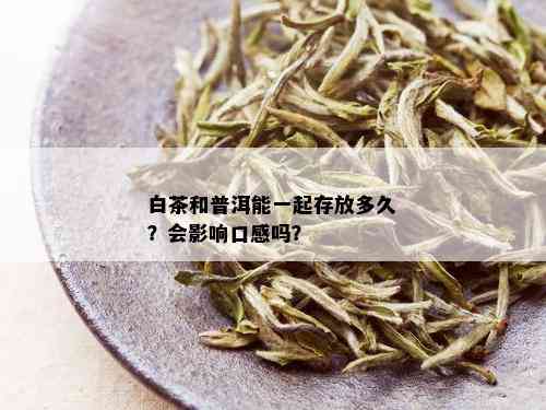 白茶归来与普洱茶：哪个口感更佳？