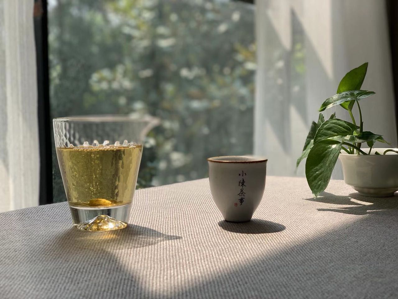 白茶与普洱茶：对比分析，了解两种茶叶的优劣及特点