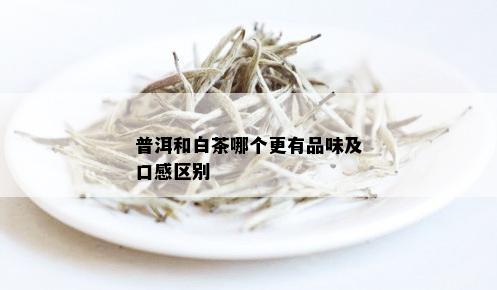 白茶归来和普洱茶哪个好