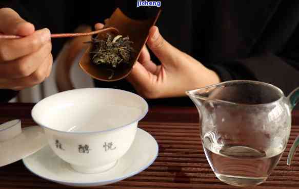 普洱茶泡法：如何泡出更美味的普洱茶