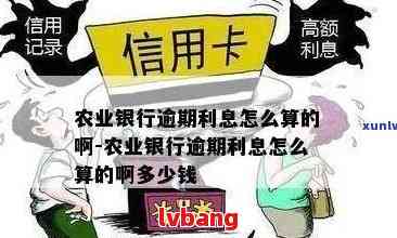 农行信用卡逾期处理流程及逾期罚息计算