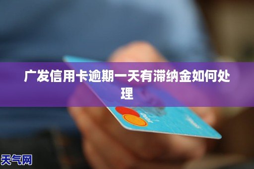 广发信用卡逾期一年被起诉如何应对