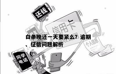 白条逾期一天就会被吗