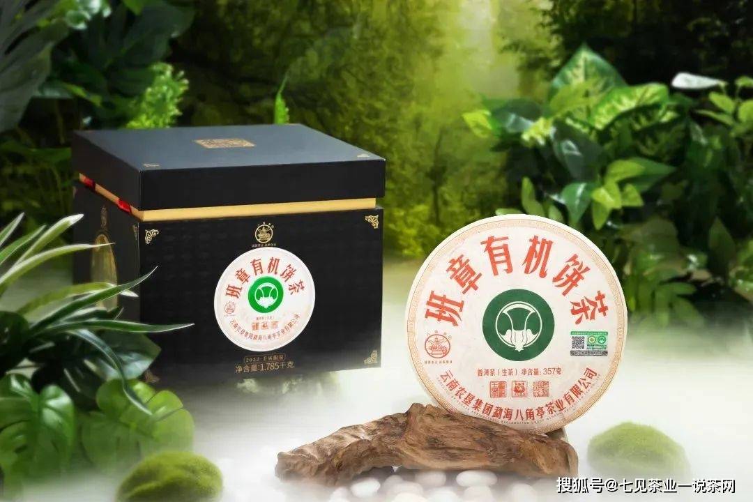 班章有机茶：珍藏版，生态品质，茶叶鉴，茶文化传承，环保包装