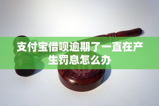 支付宝罚息无力偿还怎么办