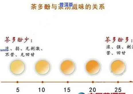 普洱茶熟茶中的茶多酚含量及其对人体的影响。