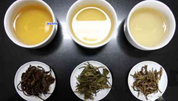 新 '普洱茶与白茶：一场味觉的宴'