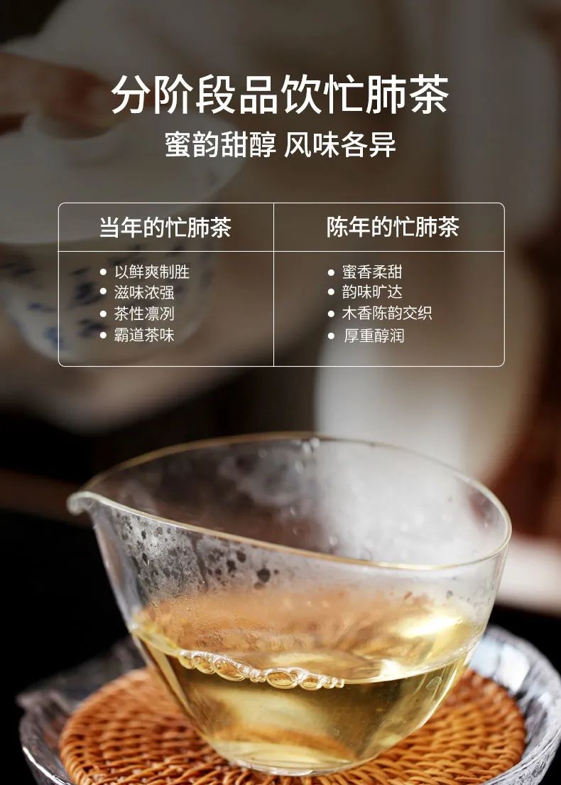 生的普洱茶和熟的区别：品鉴与保存技巧全解析