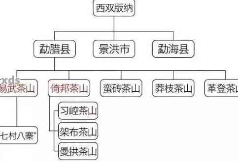 普洱茶山头划分详解：如何选择合适的茶叶产地及品质