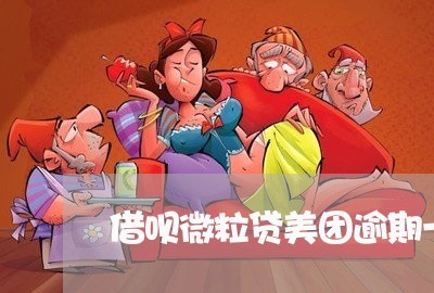 美团京东微立贷要逾期了怎么办