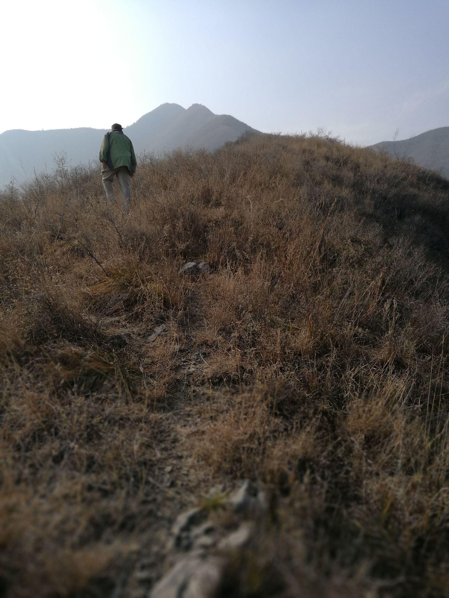 普洱茶分山头山寨