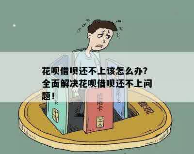 花呗借款钱还不上怎么解决