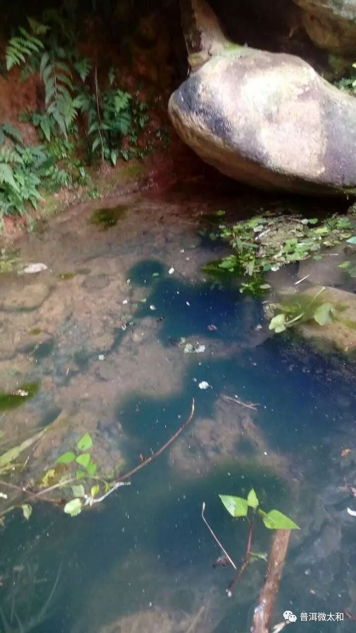 余太翠的浣樺之旅：一场别开生面的跑水体验