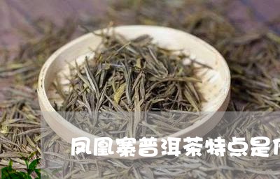 风寨普洱茶的独特魅力与健益处：深入解析其地理、制作工艺及口感特点