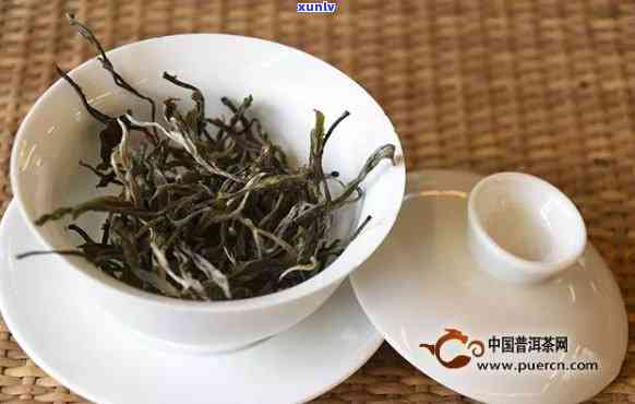 刮风寨普洱茶树龄分类：2019年价格、特点、古树树龄详解