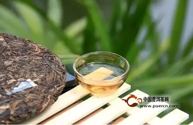 喝生普洱茶后为什么会感到饥饿？了解其原因及解决方法，让品茗更适