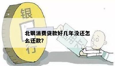 北银消费金融公司无力还款原因分析及解决方案