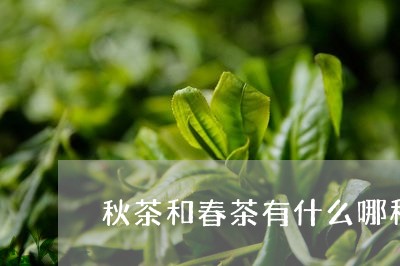 春茶与秋茶的分别