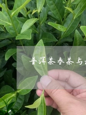 春茶与秋茶的分别