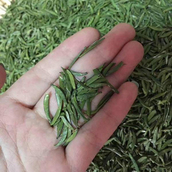 '青竹茶的功效与作用是什么' - 探索青竹茶的特性与益处