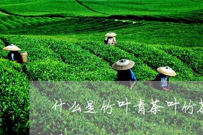 青竹茶的全面解读：品种、产地、功效与制作方法