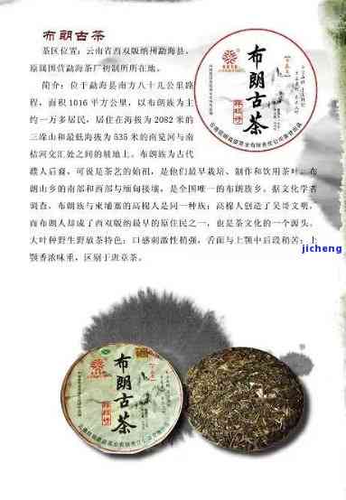 云南普洱茶专营：优质茶叶的代名词，让您品味真正的云南风情