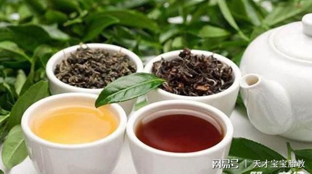 备孕期间饮茶禁忌与注意事项：能否喝茶叶？