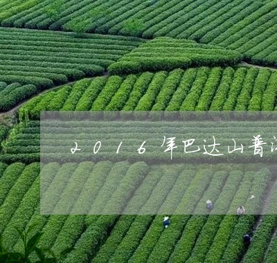 品香园巴达山普洱茶