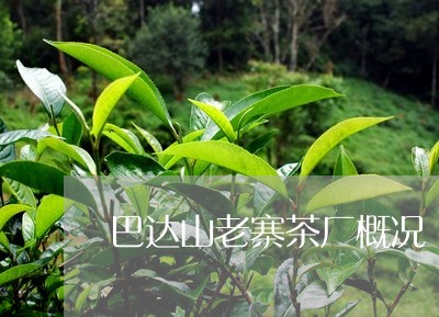 巴达山老寨茶厂普洱茶价格357克饼，老班章，巴达山老寨茶厂产品，怎么样？