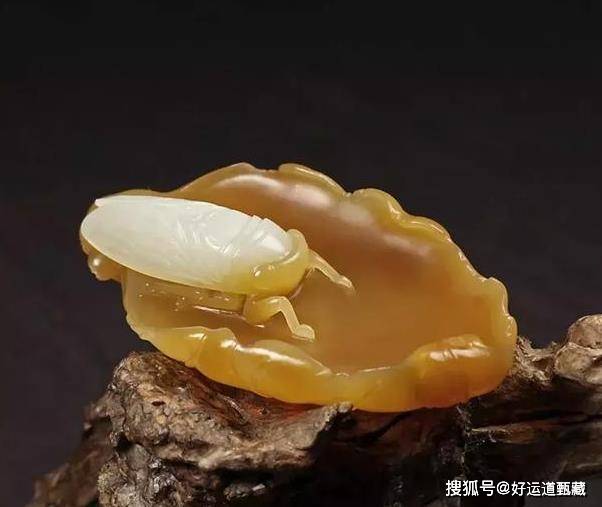 和田玉用水煮有小白点正常吗