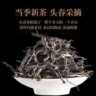 云南春茶普洱茶散茶