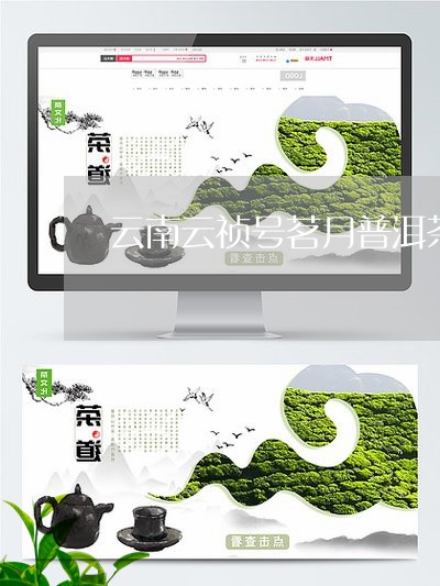 云桢号茗月普洱茶价格2015年报价