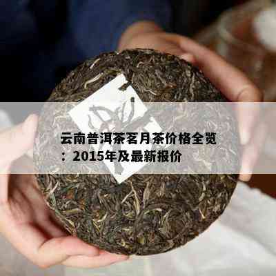 云桢号茗月普洱茶价格2015年报价