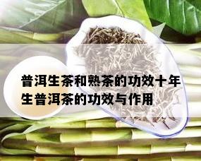 生的普洱茶的功效