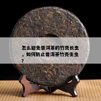 全方位保护普洱茶免受竹虫侵扰的实用策略与方法