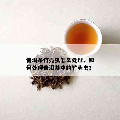 普洱茶如何防止竹虫爬出来