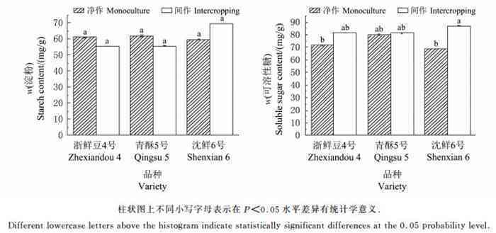 新和田玉的光泽度如何评估？从哪些方面来看？