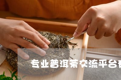 专业普洱茶交流平台