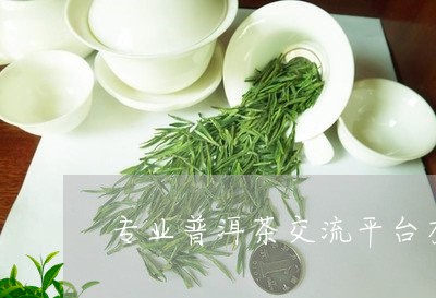 专业普洱茶交流平台