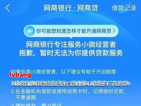 网商贷申请期后显示逾期该如何处理