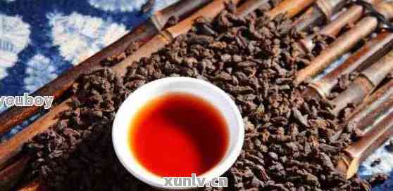 普洱茶的体香由哪些因素决定？它与何种茶类有关？