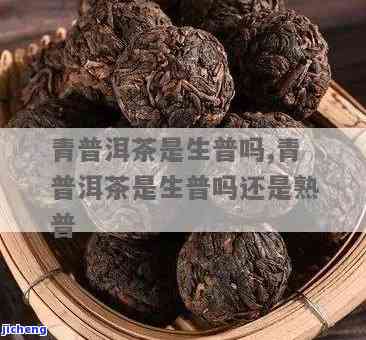 普洱茶99青饼是什么意思