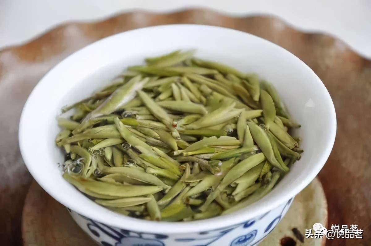 探寻一芽两叶茶的品种及其独特韵味：从古树绿茶到银针白茶的品鉴之旅