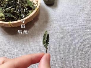 探寻一芽两叶茶的品种及其独特韵味：从古树绿茶到银针白茶的品鉴之旅