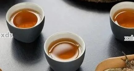 探索普洱茶的完美搭配：哪些元素能提升你的饮茶体验？