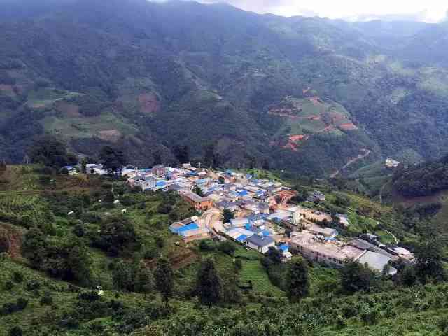 普洱茶山头口感之旅：探索各产地特色与差异